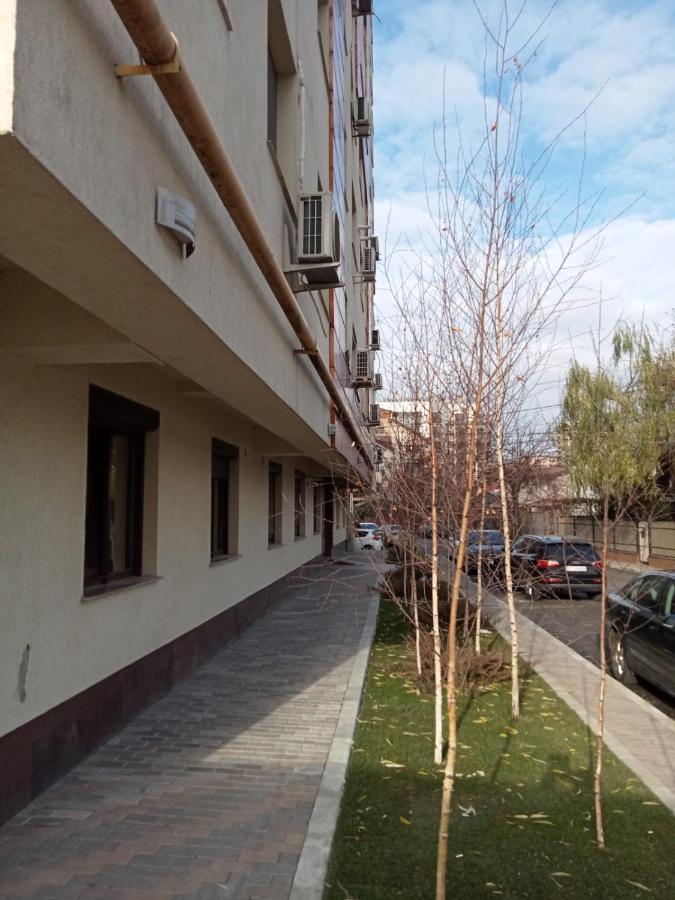 Palas View Apartments Near Palas Mall Iasi Exterior photo